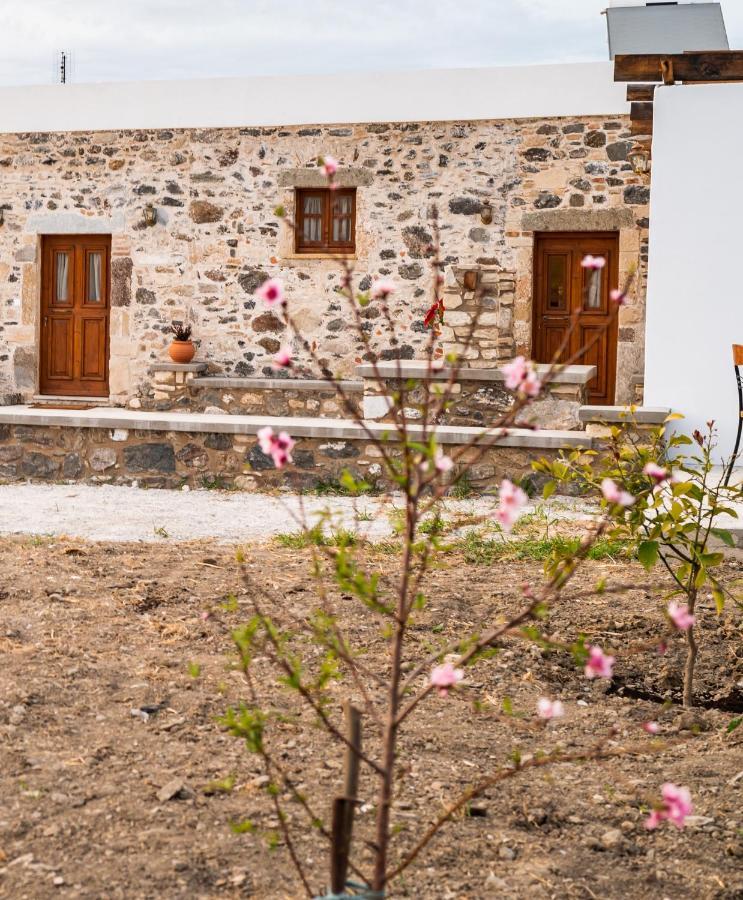 Paradisi Stone House Κως Πόλη Εξωτερικό φωτογραφία