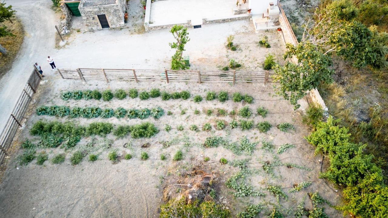 Paradisi Stone House Κως Πόλη Εξωτερικό φωτογραφία